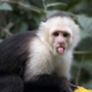 Meet your Posher, Madeline